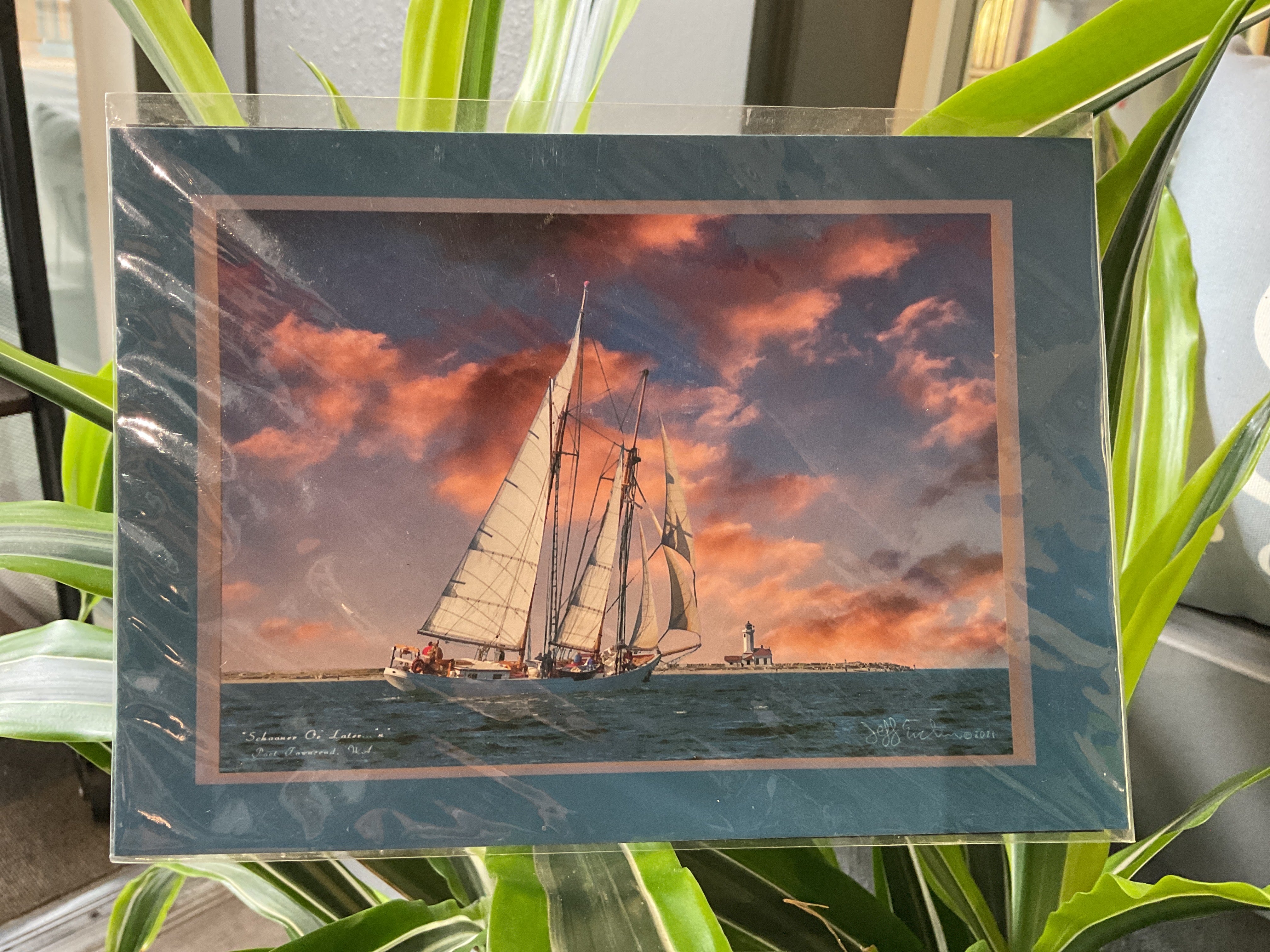 Schooner or Later by Jeff Eichen
