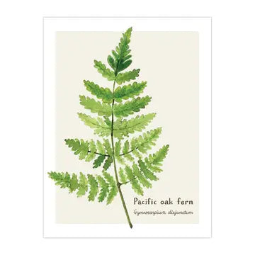 Fern Card