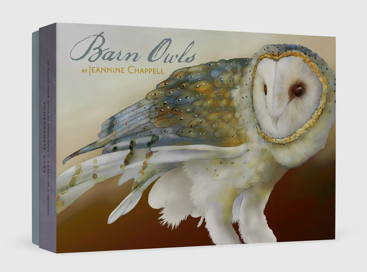 Barn Owls Boxed Notecards by Jeannine Chappell