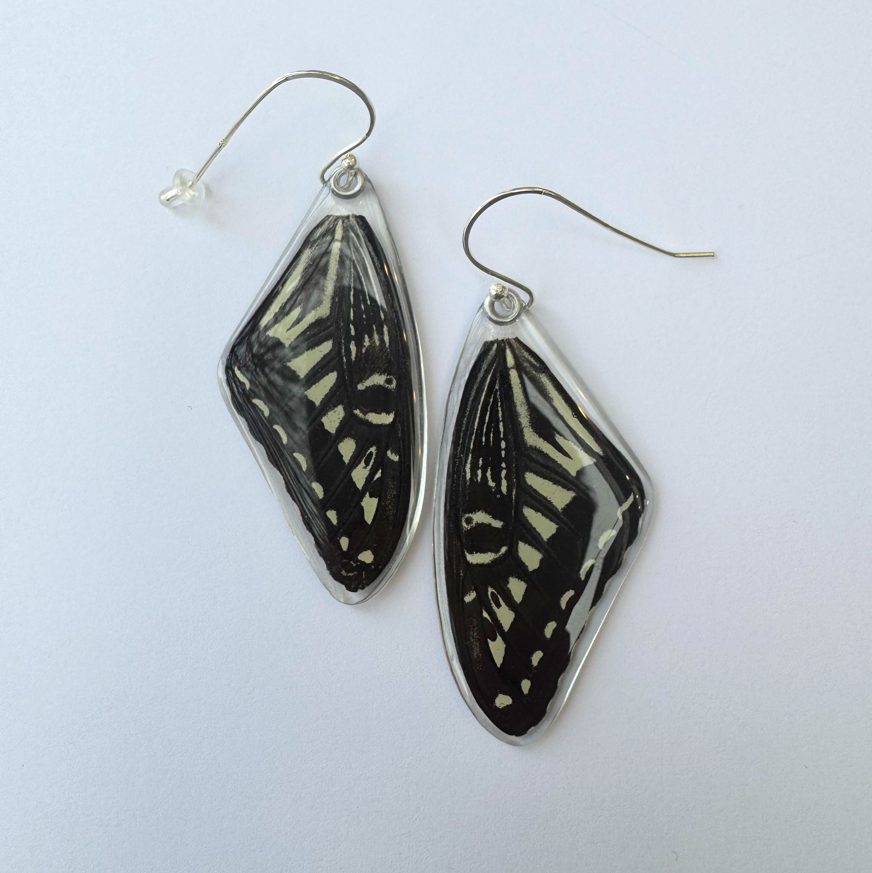 Eastern Tiger Swallowtail Earrings