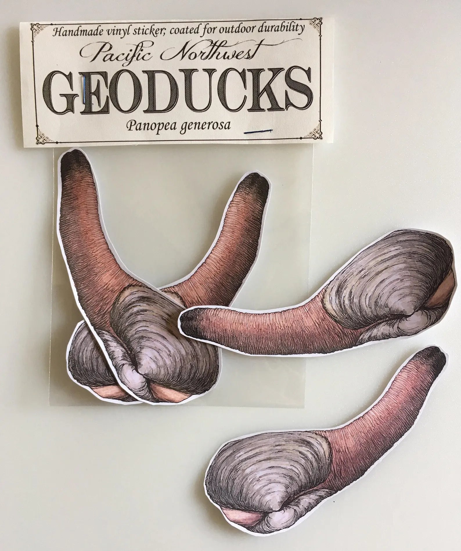 Geoduck Sticker