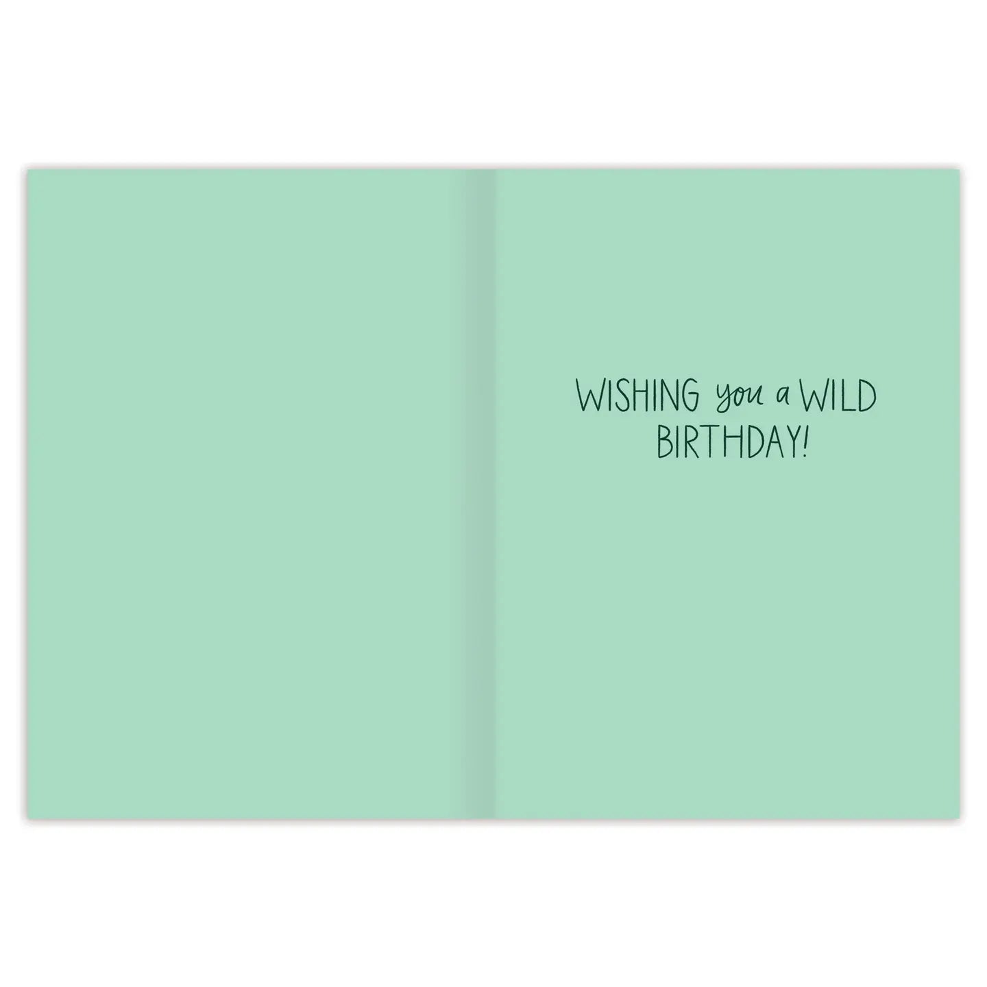 Great Adventure Birthday Card