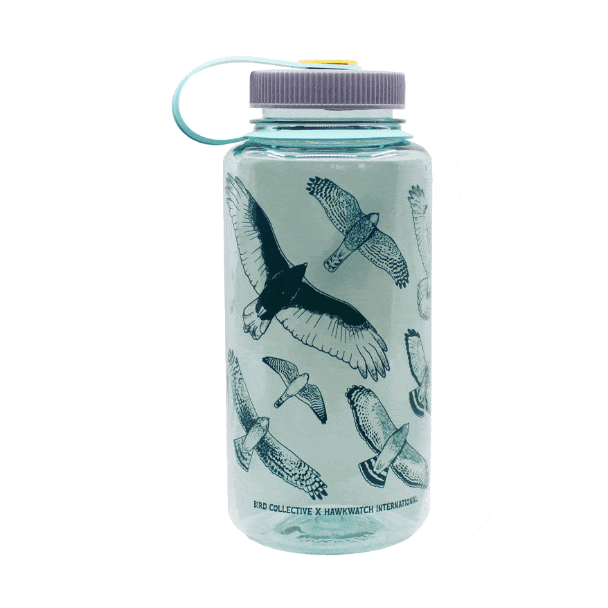 Hawks in Flight Nalgene Water Bottle | Seafoam