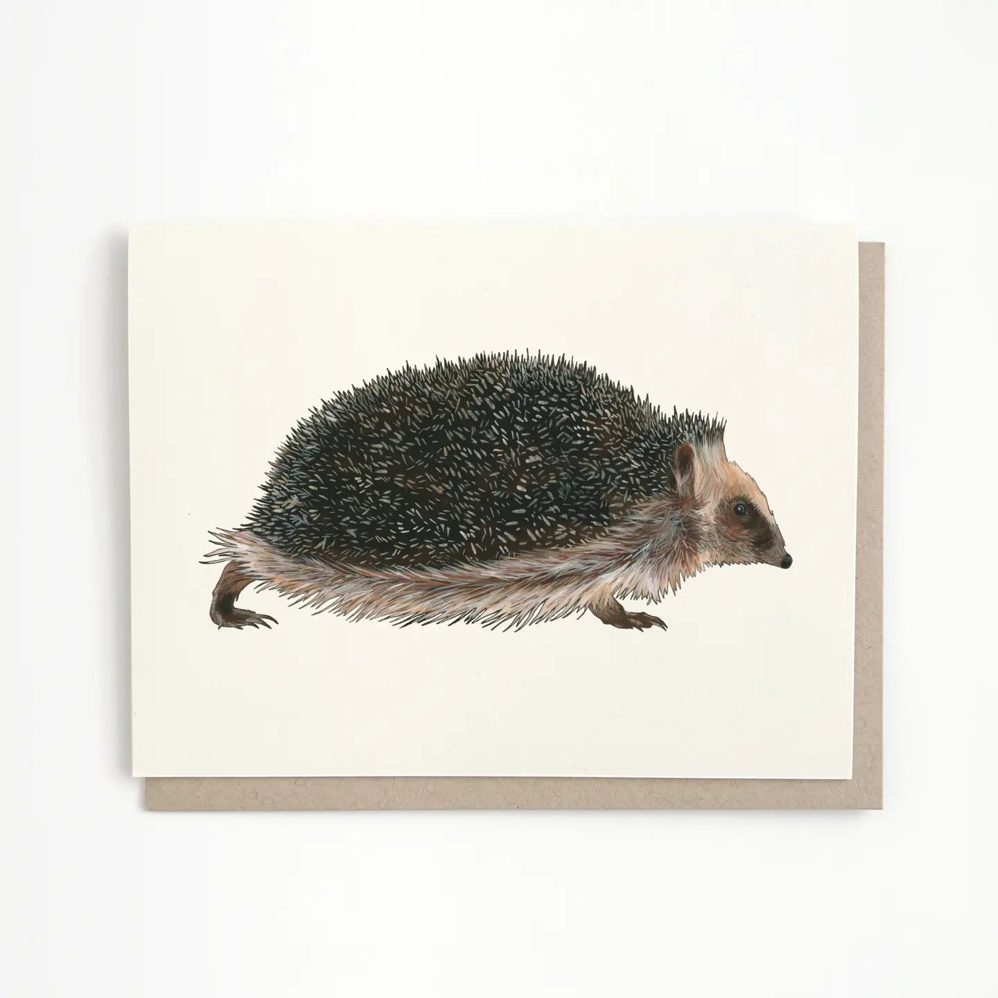 Hedgehog Blank Inside Greeting Card