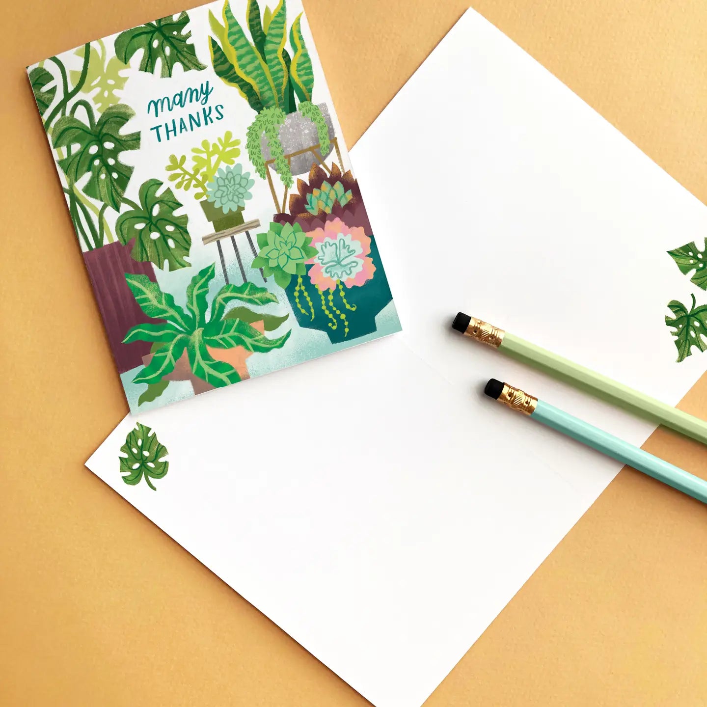 Houseplants Thank You Greeting Card