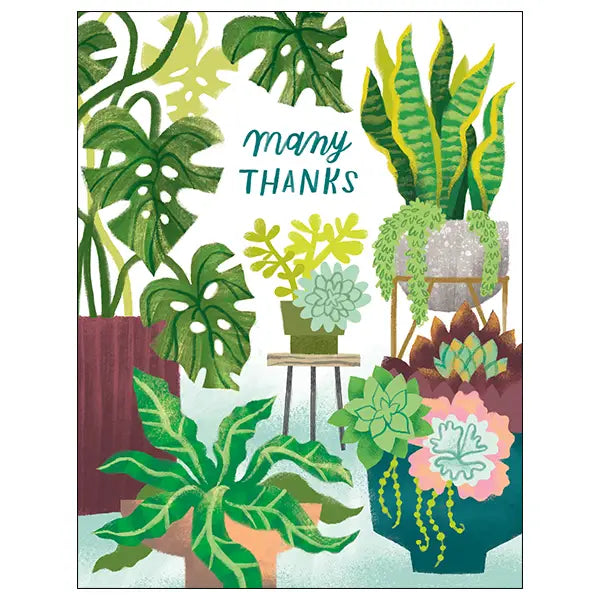 Houseplants Thank You Greeting Card