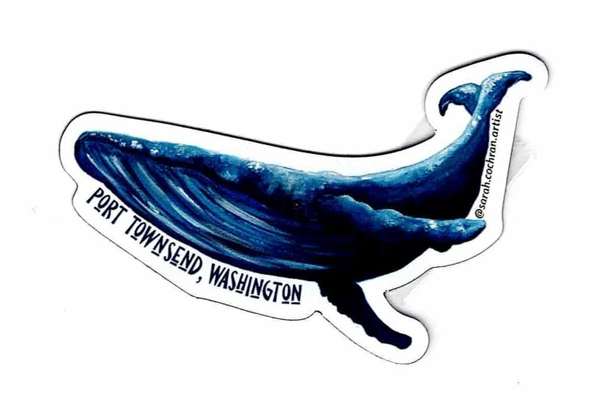 Port Townsend Humpback Whale Magnet