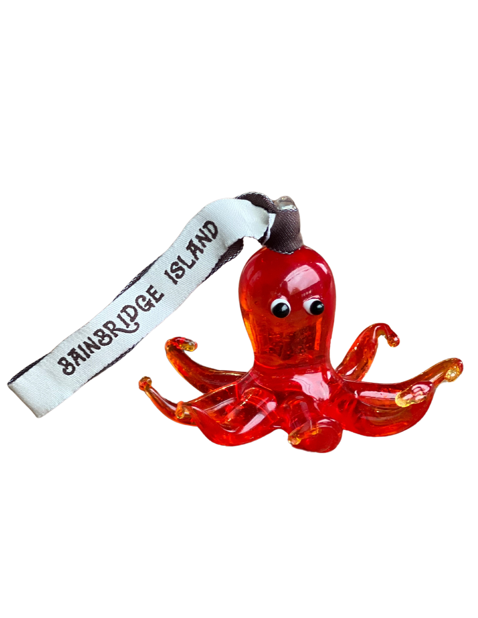 Orange Octopus