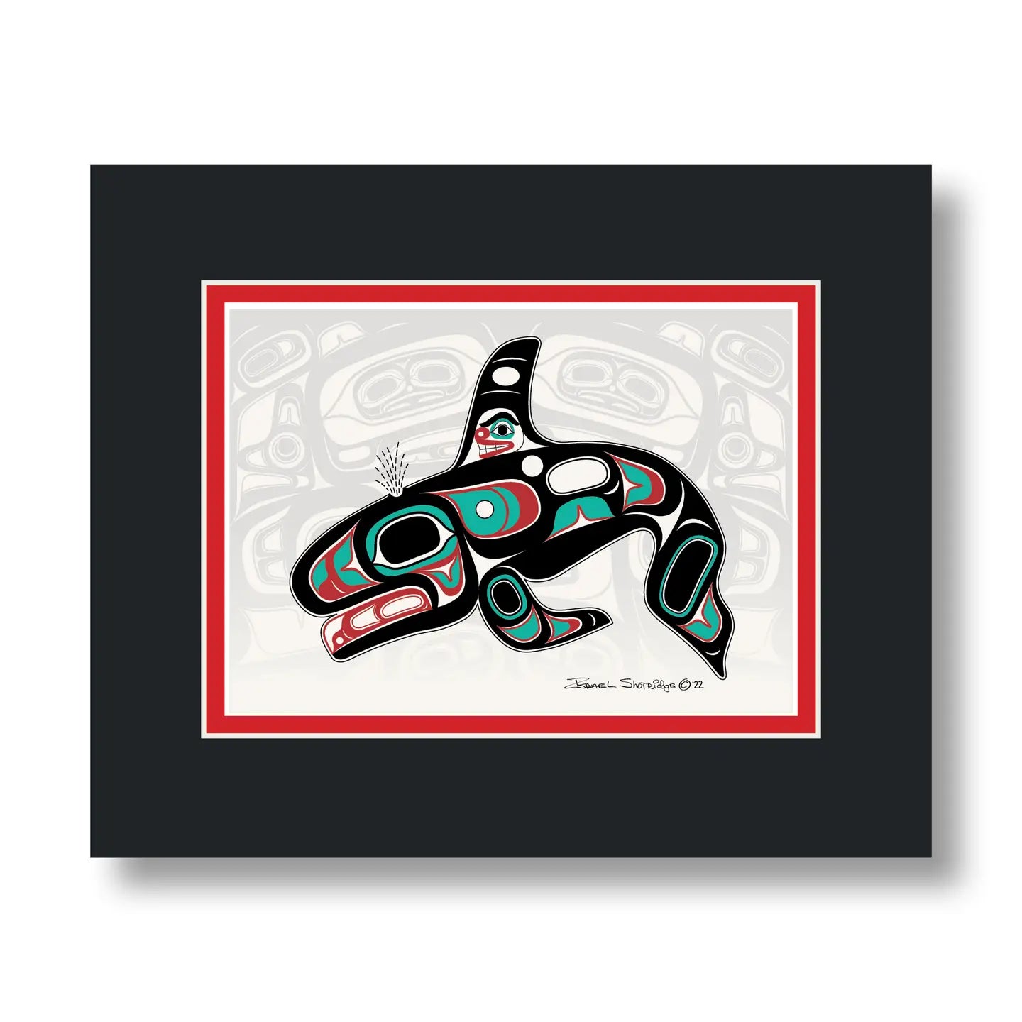 Killerwhale - Shortridge collection