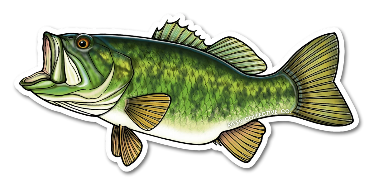 LARGEMOUTH BASS DECAL Sticker