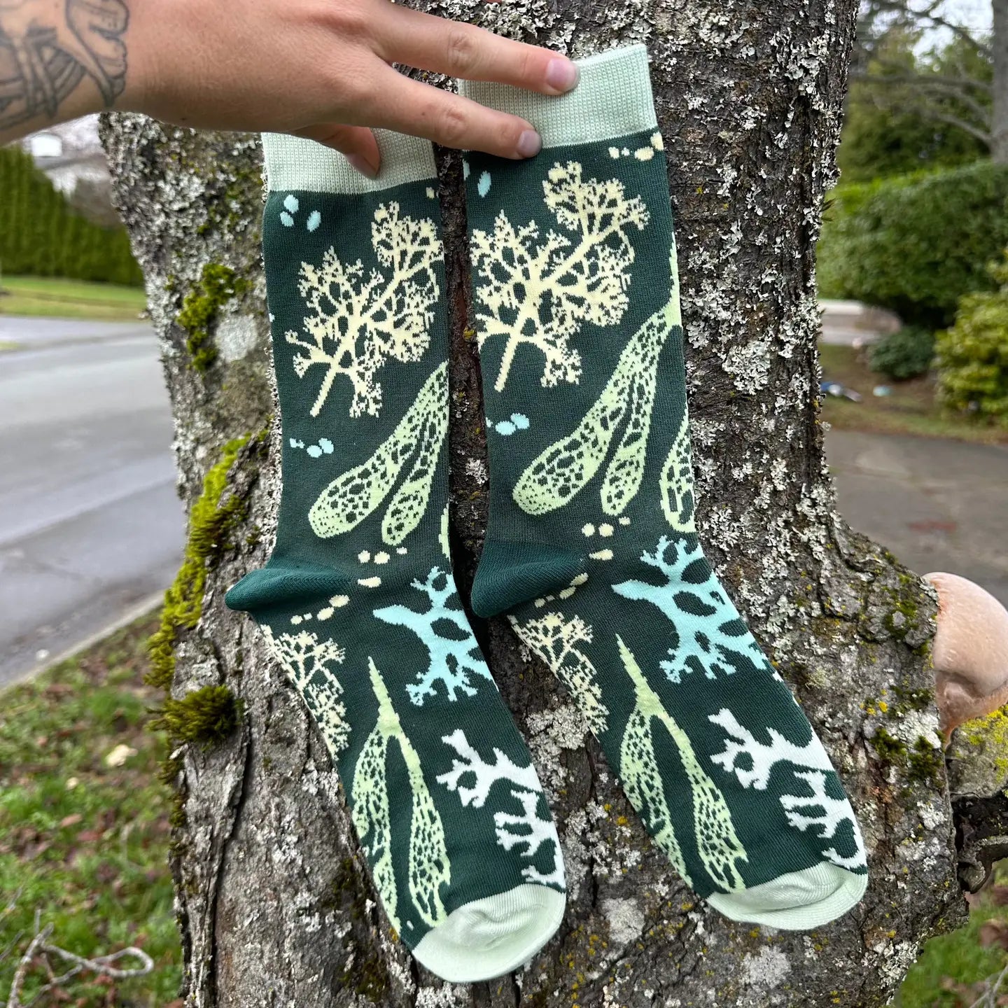 Lichen Socks