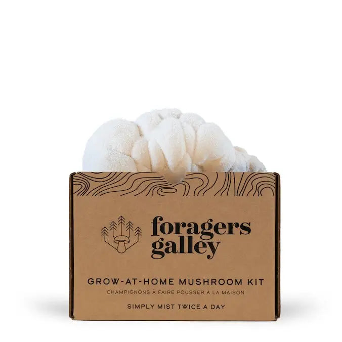 Foragers Gallery- Lion's Mane Live Mushrooms Kit