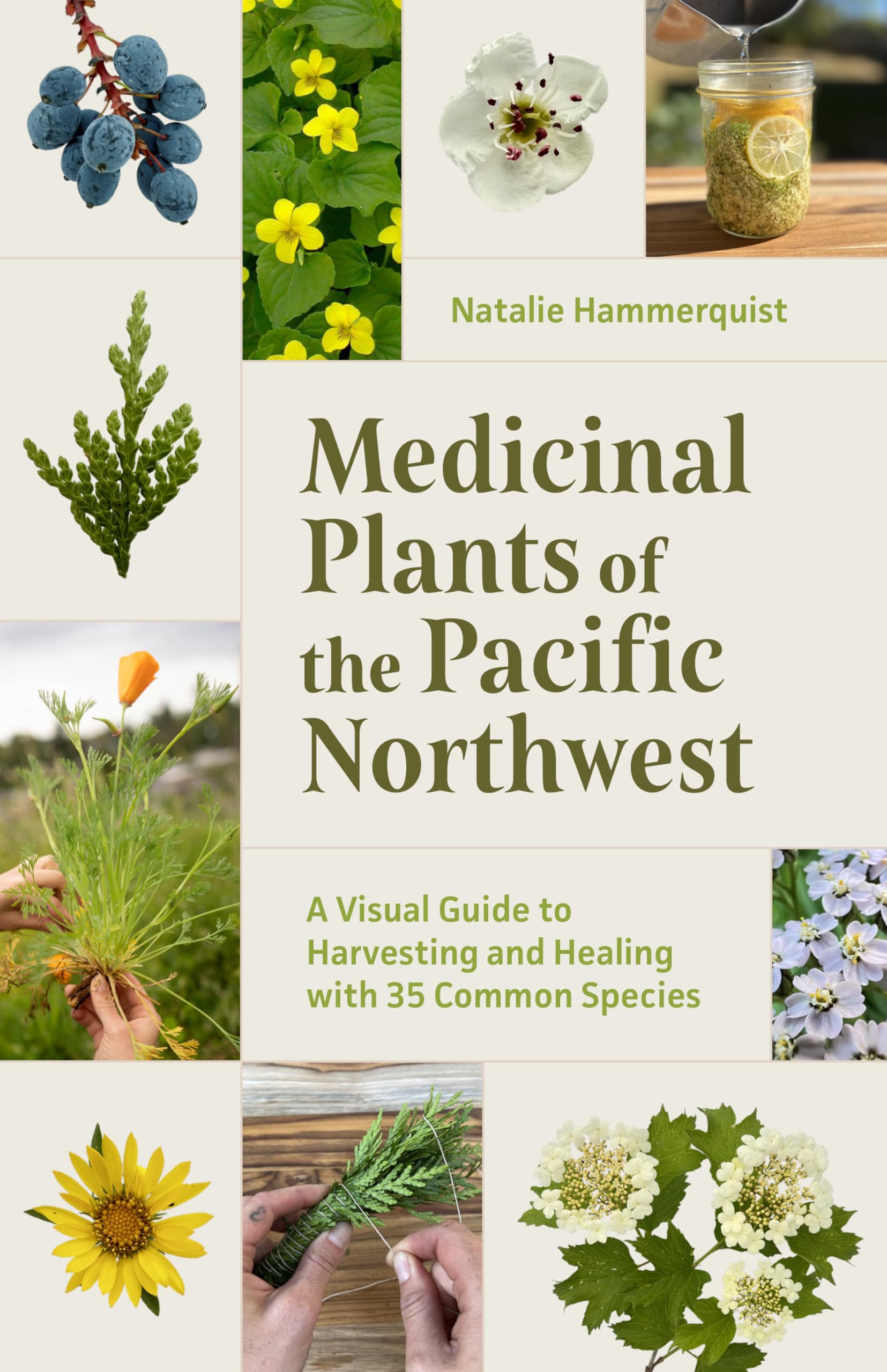 Medicinal Plants of the PNW (Pacific Northwest) Book