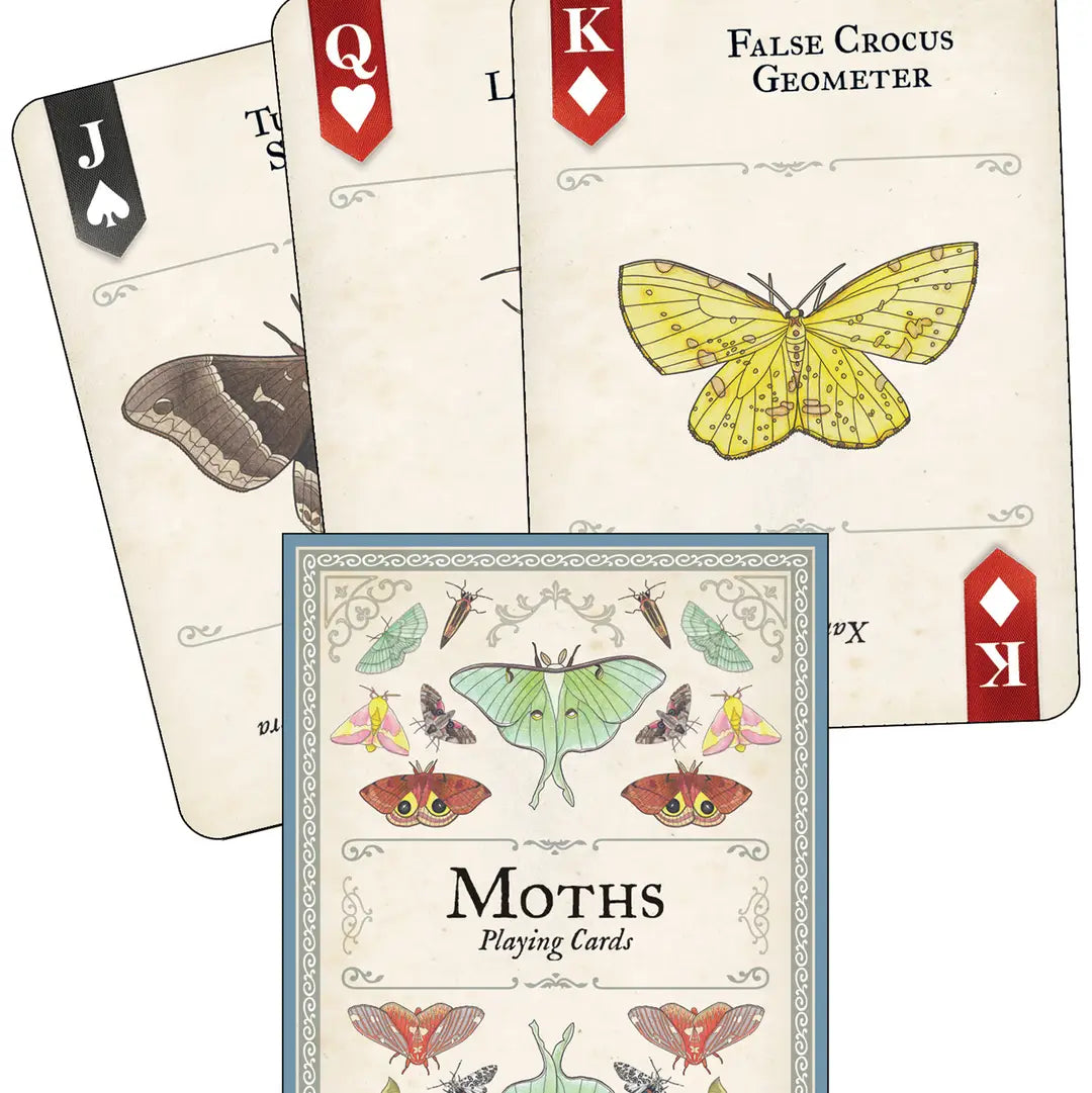 Moths Playing Cards
