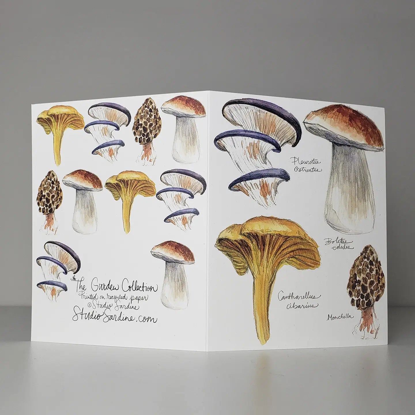 Watercolor Mushrooms Greeting Cards