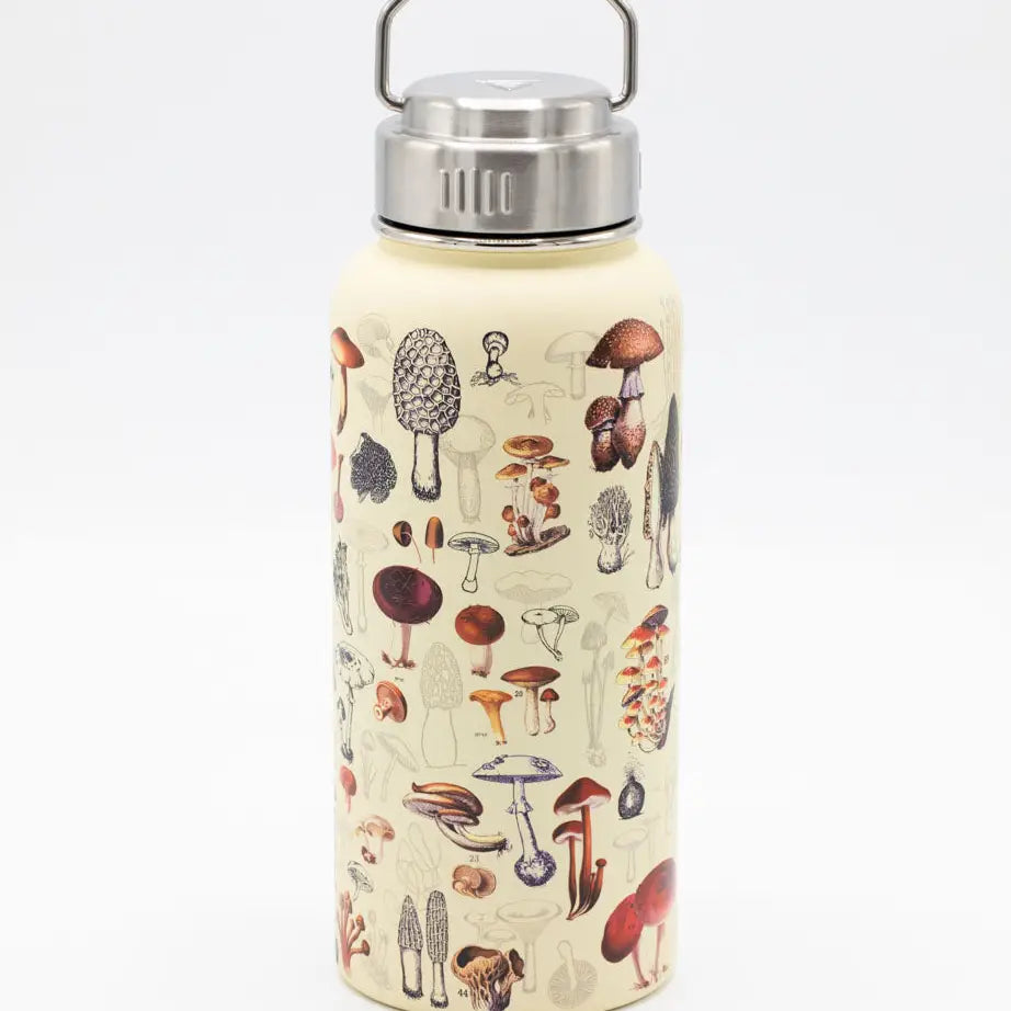 Mushrooms 18 oz Stainless Steel Bottle