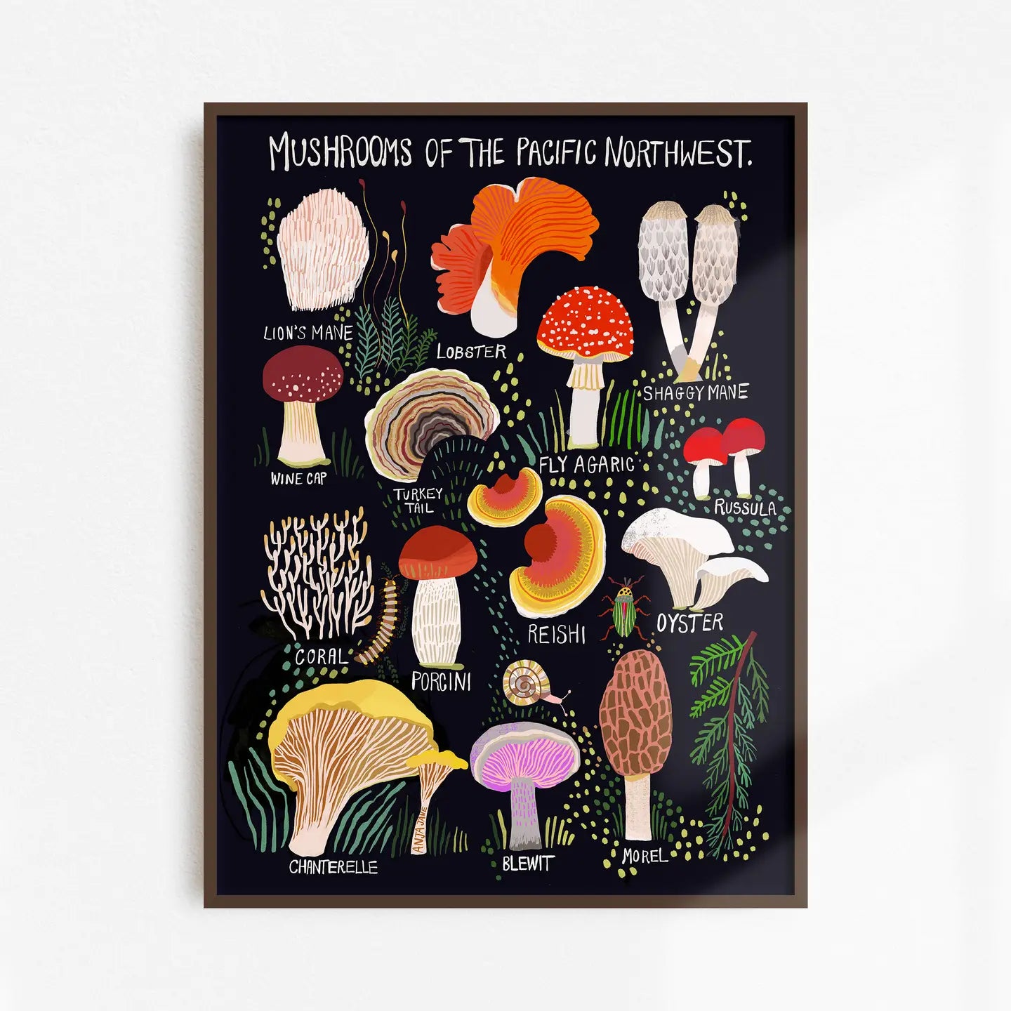 Mushrooms of the Pacific Northwest Art Print