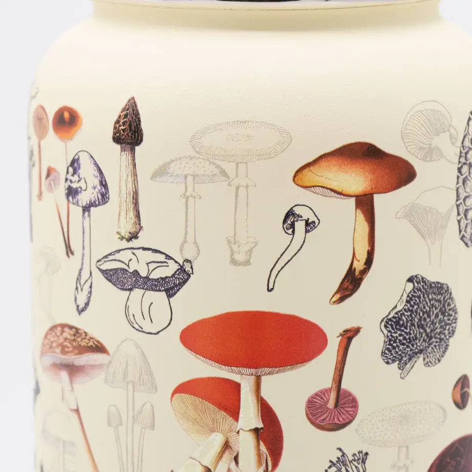 Mushrooms 18 oz Stainless Steel Bottle