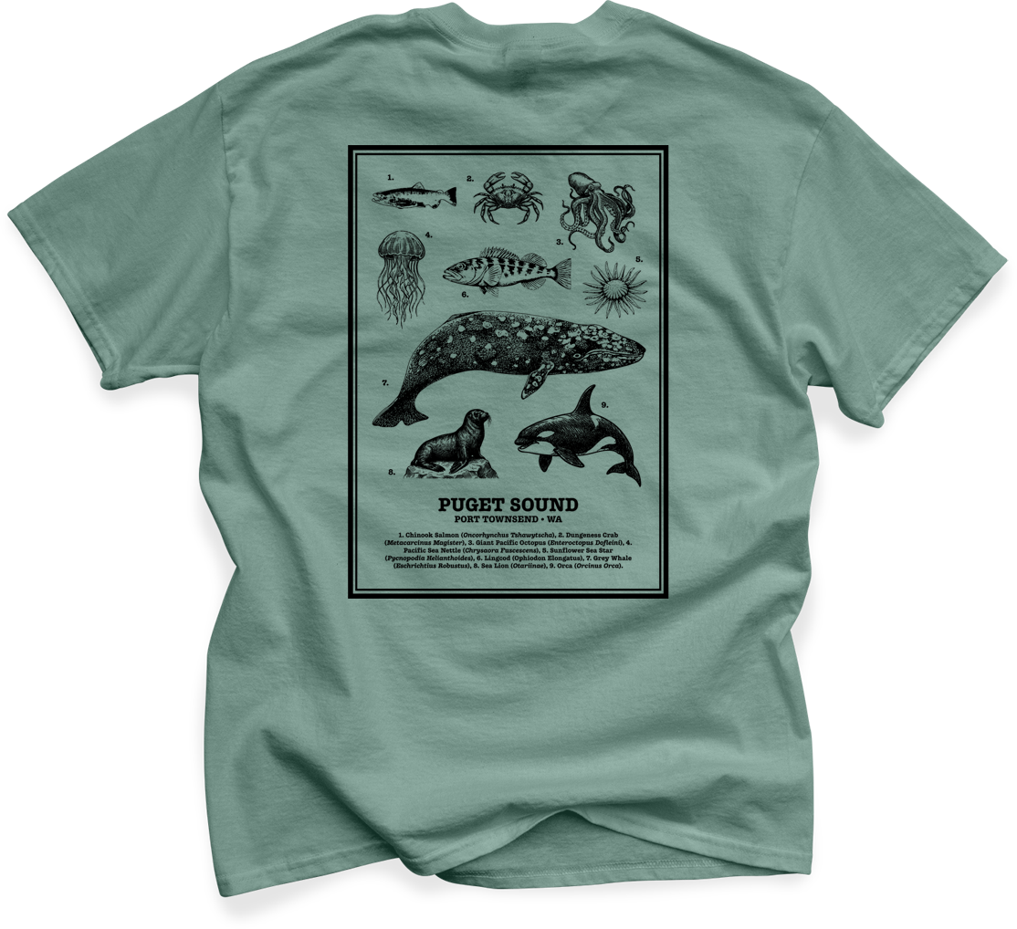 Port Townsend - Puget Sound Marine Guide Cotton Shirt | Laurel Green