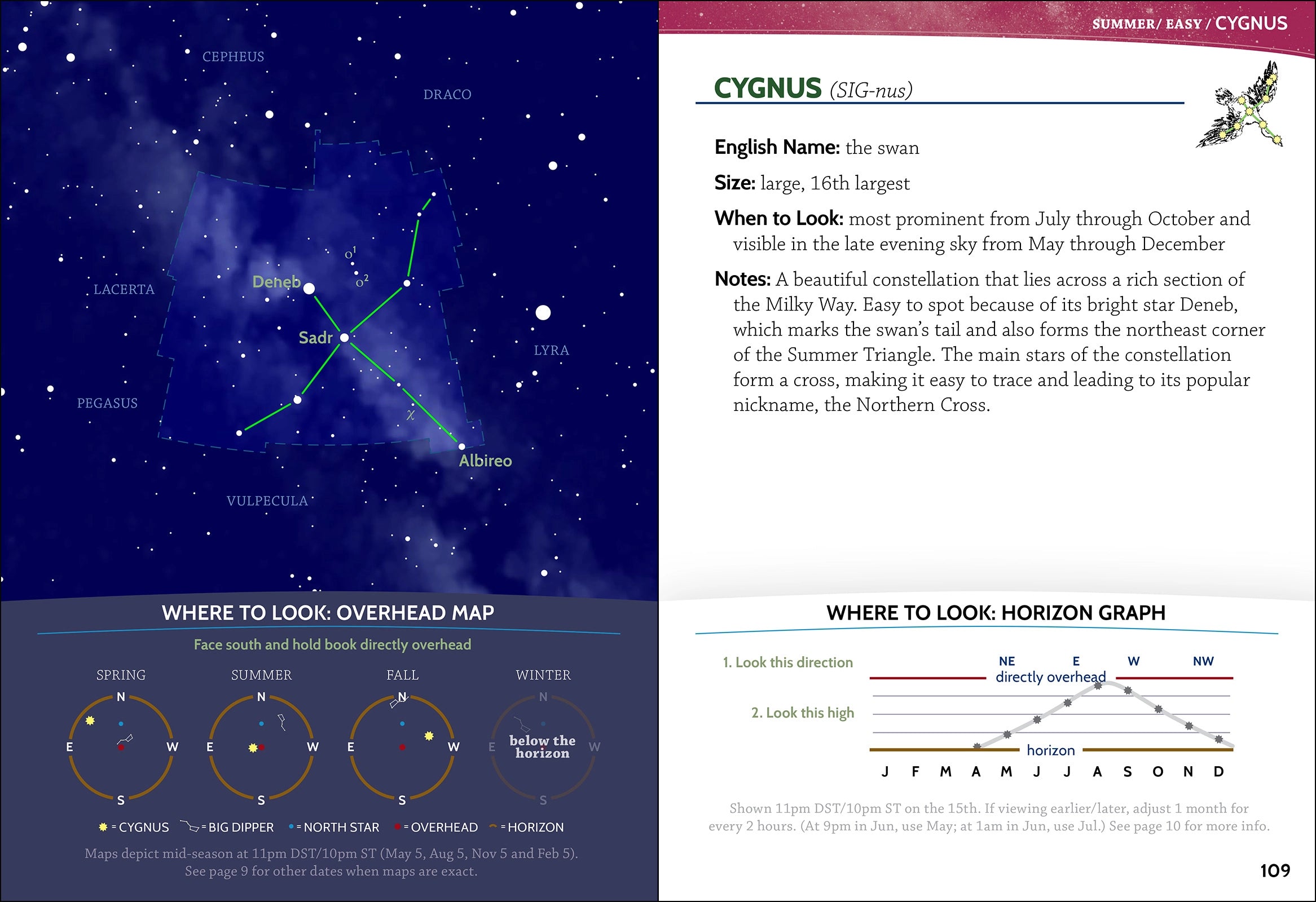 Night Sky Field Guide