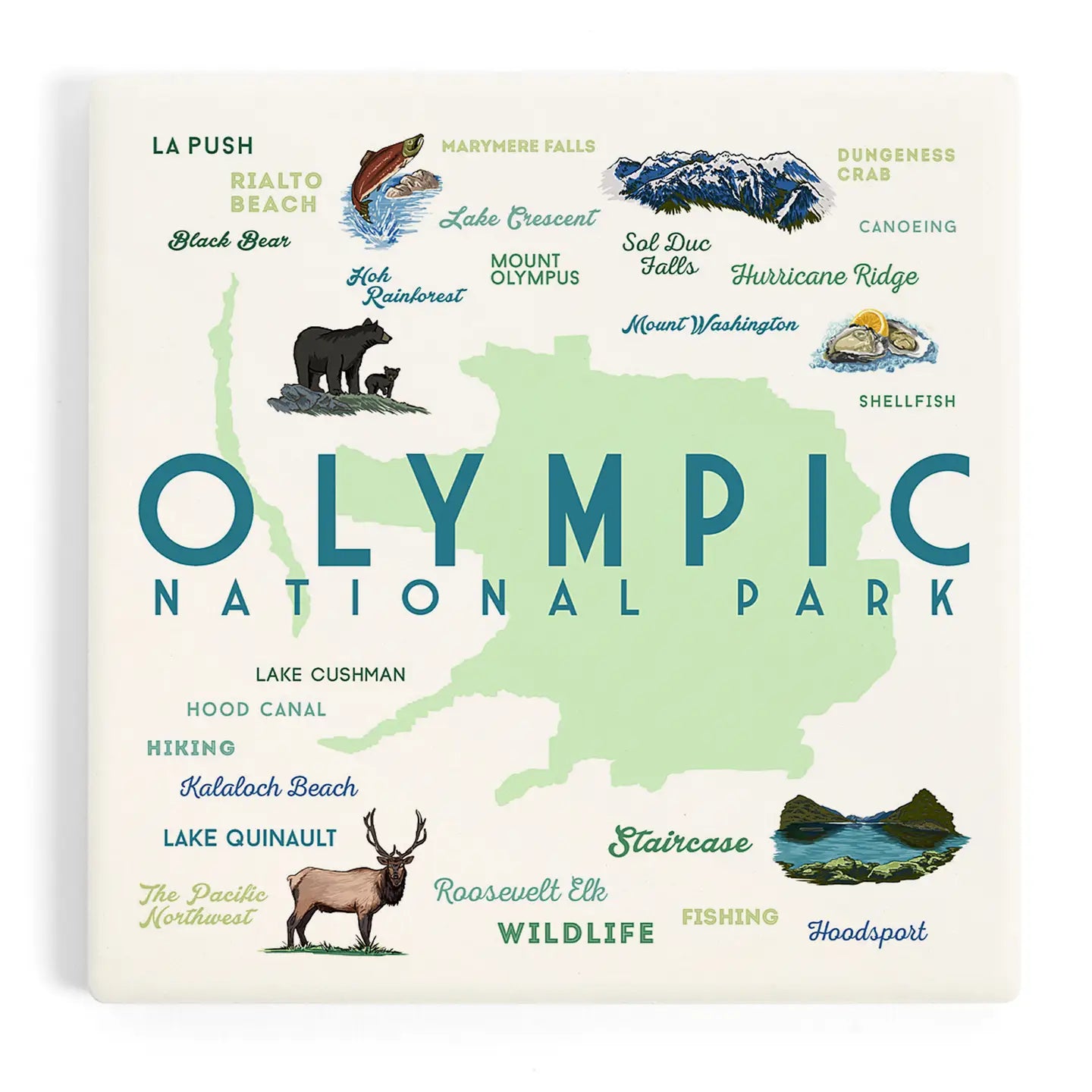Olympic National Park Ceramic Coasters