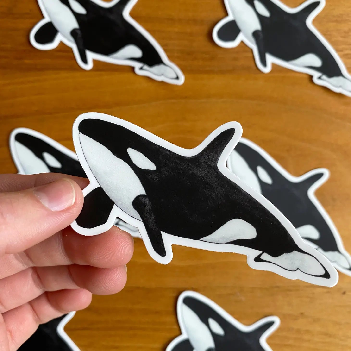 Orca Whale Sticker