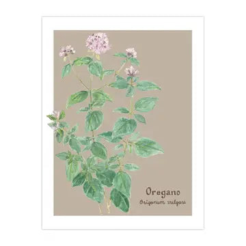 Oregano Card