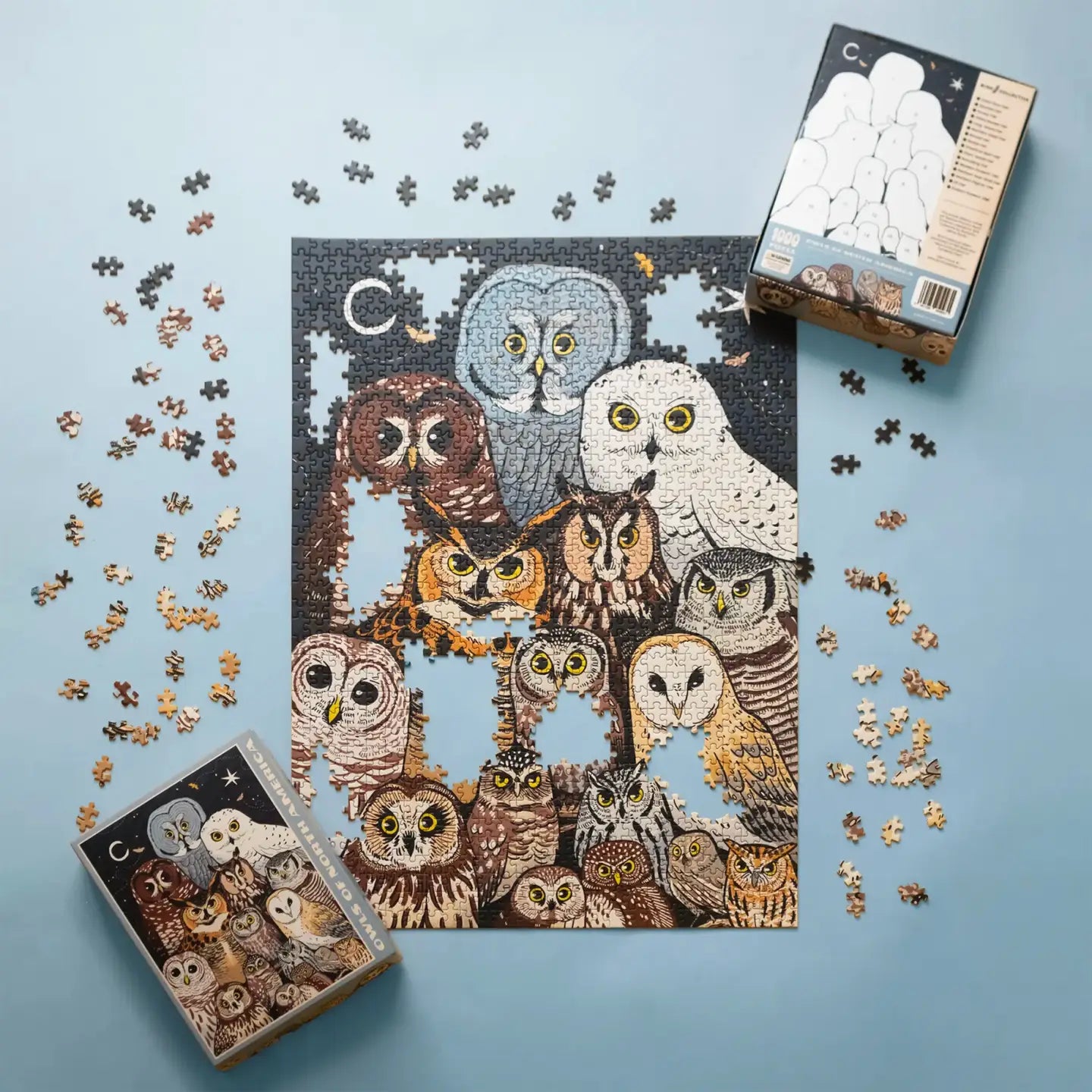 Owls of North America (1,000 Piece Puzzle)
