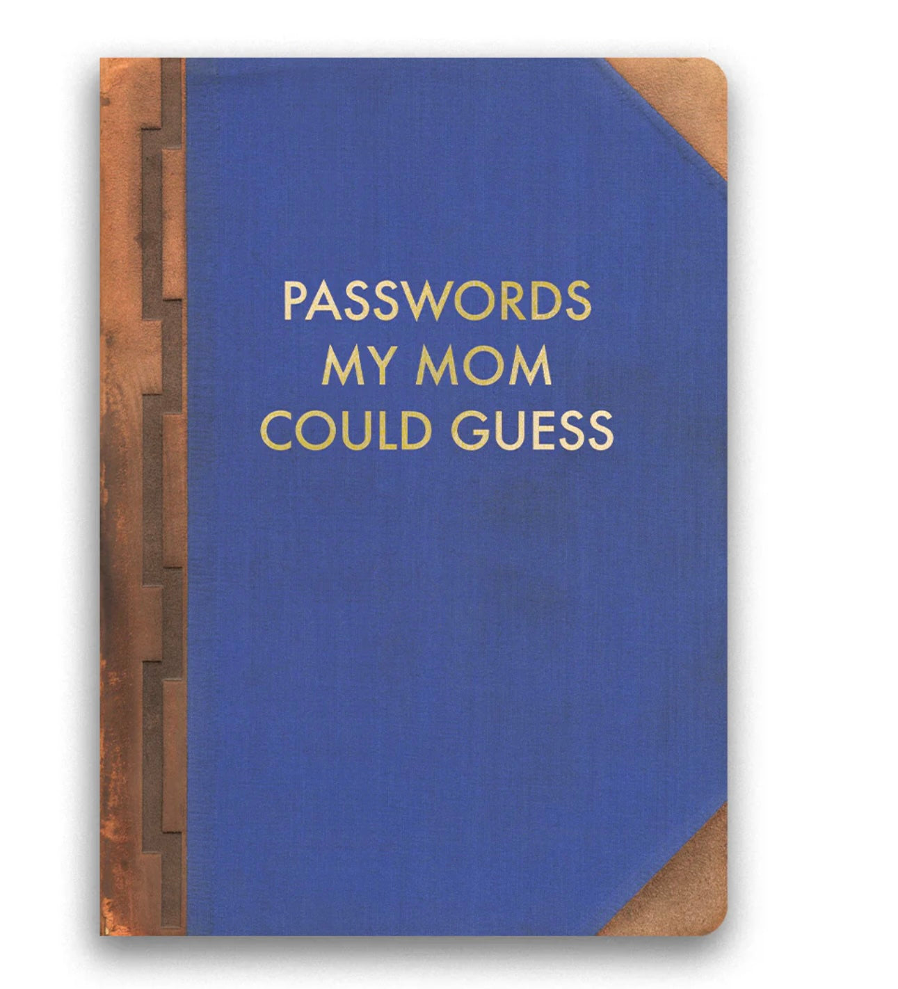 Passwords My Mom Could Guess Journal