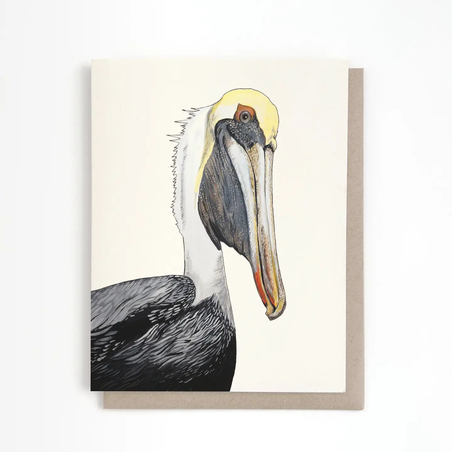 Pelican Greeting Card