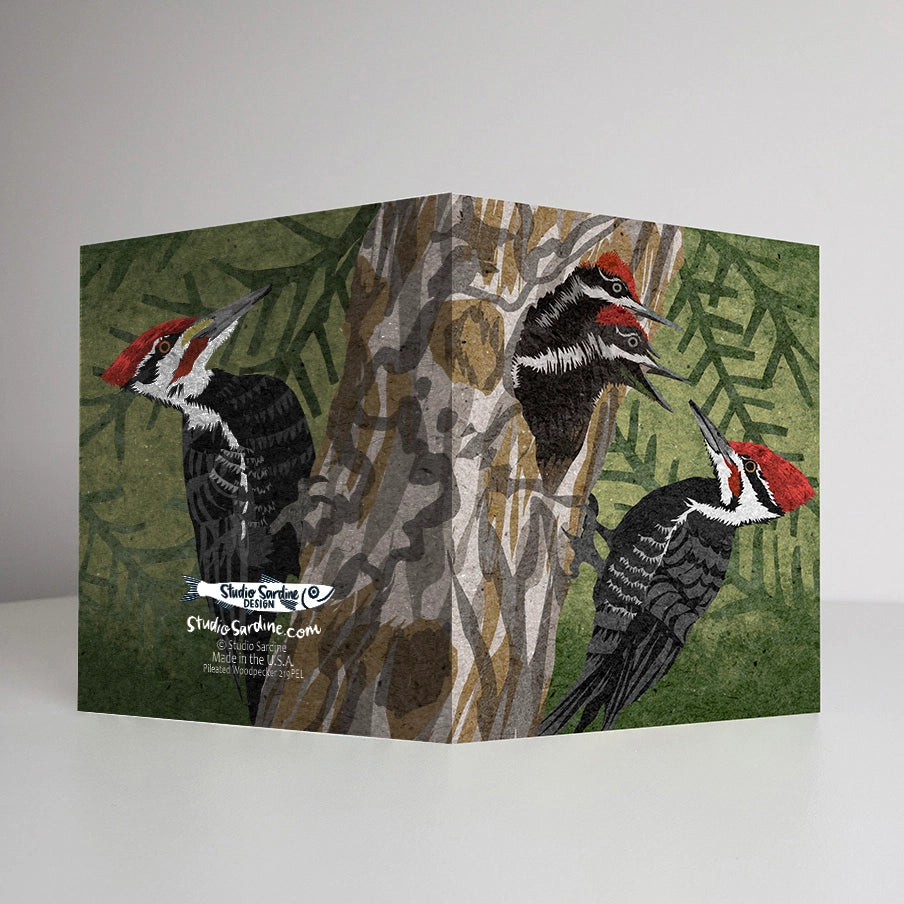 Pileated Woodpecker Greeting Card by Studio Sardine