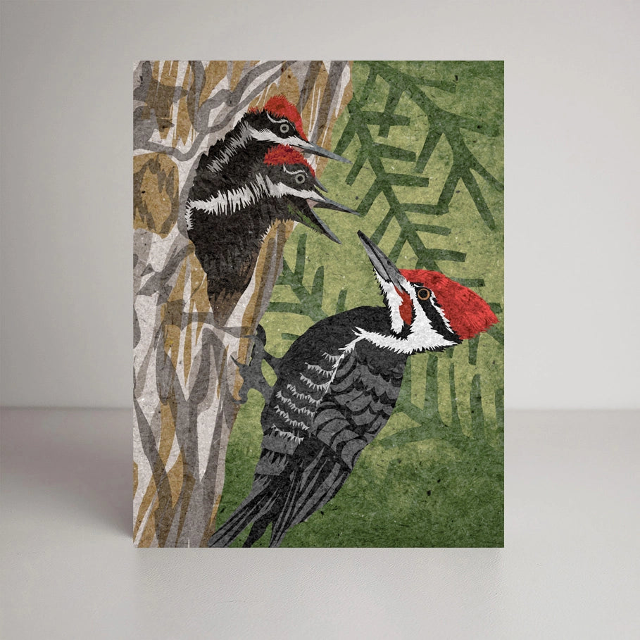 Pileated Woodpecker Greeting Card by Studio Sardine