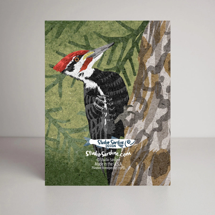 Pileated Woodpecker Greeting Card by Studio Sardine