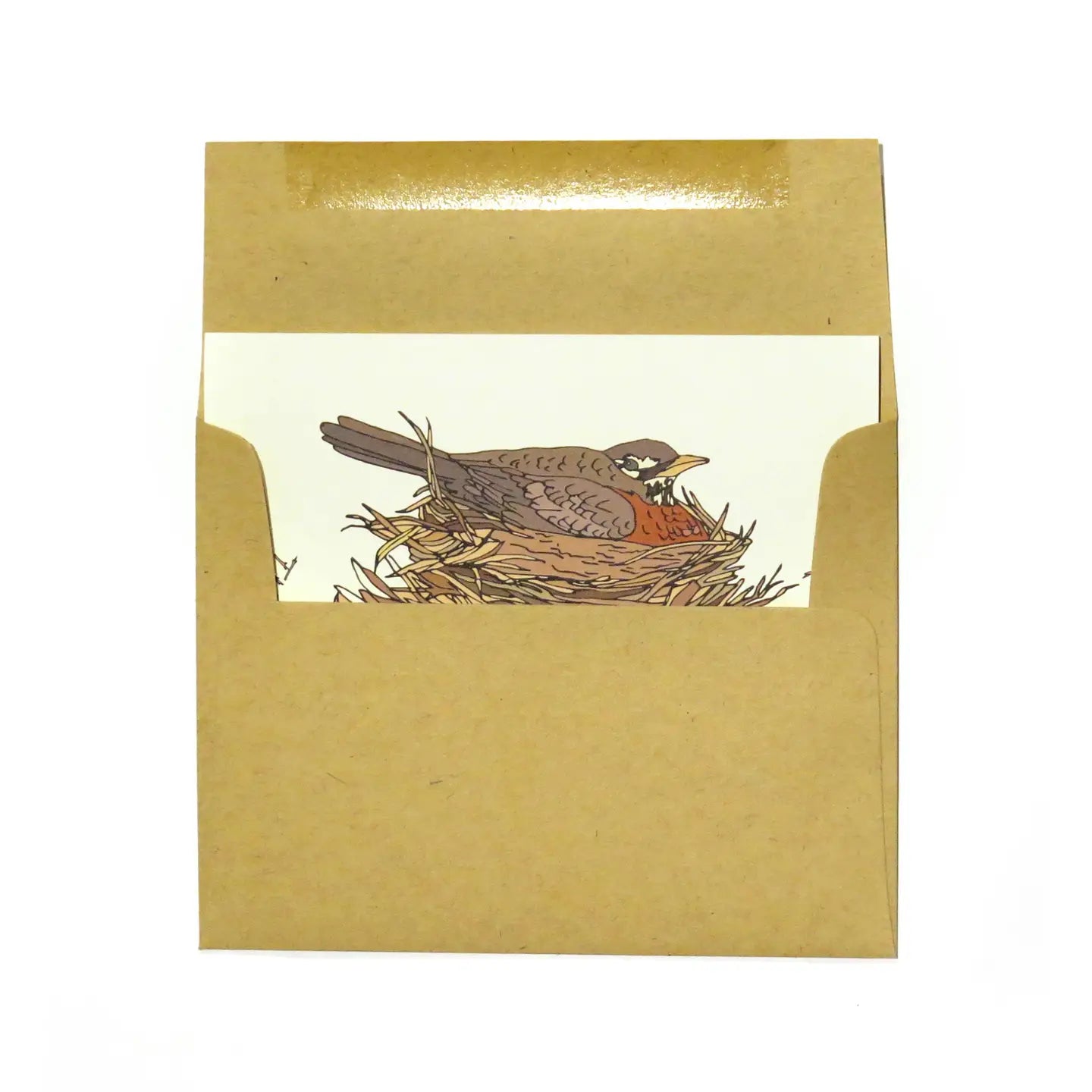 Robins Nest Card