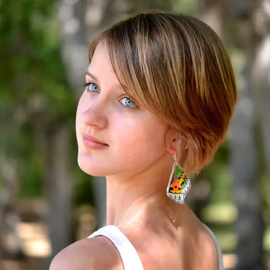 Urania Ripheus Sunset Moth- Butterfly Earrings