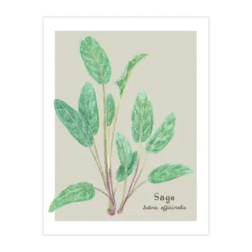 Sage Card