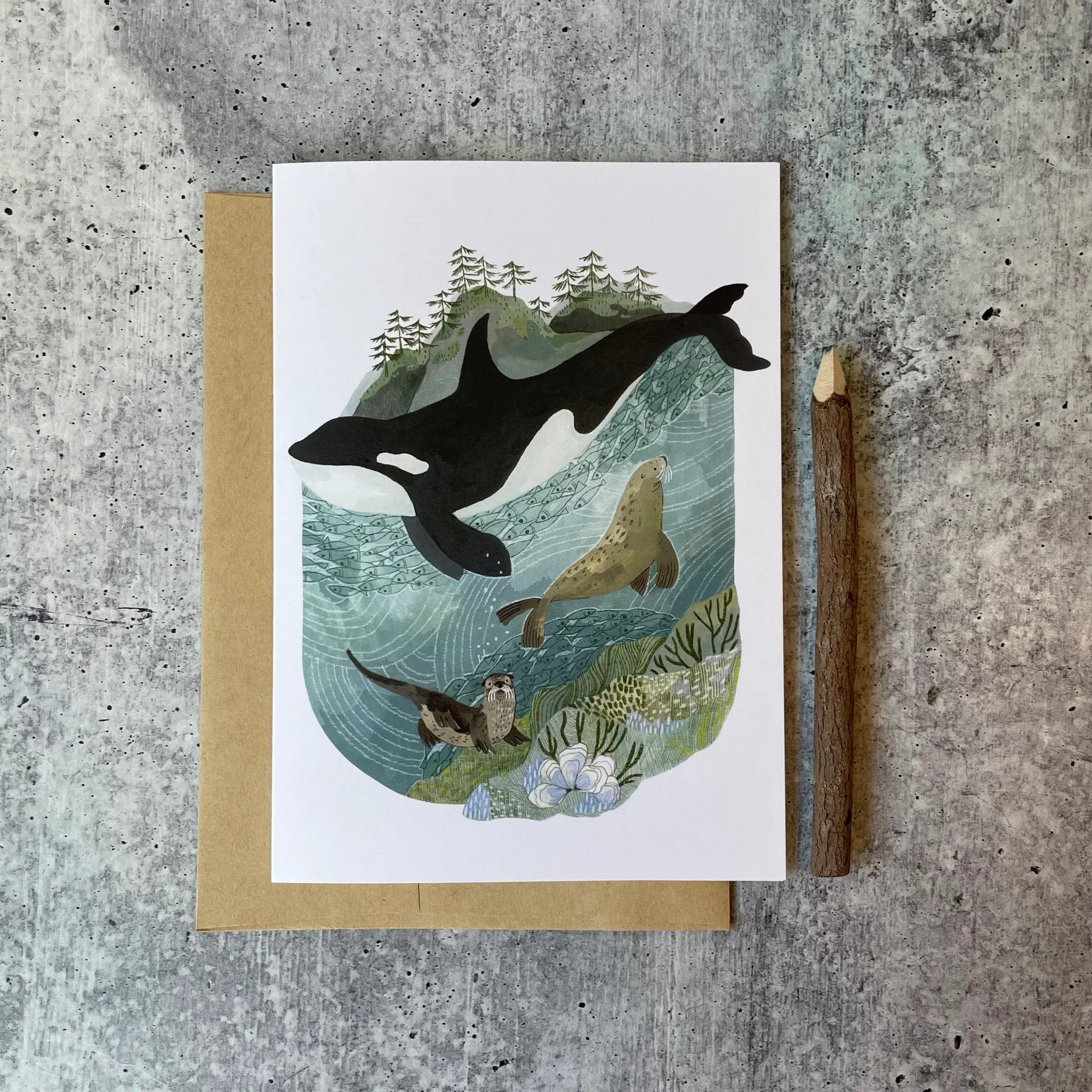 San Juan Orca Card