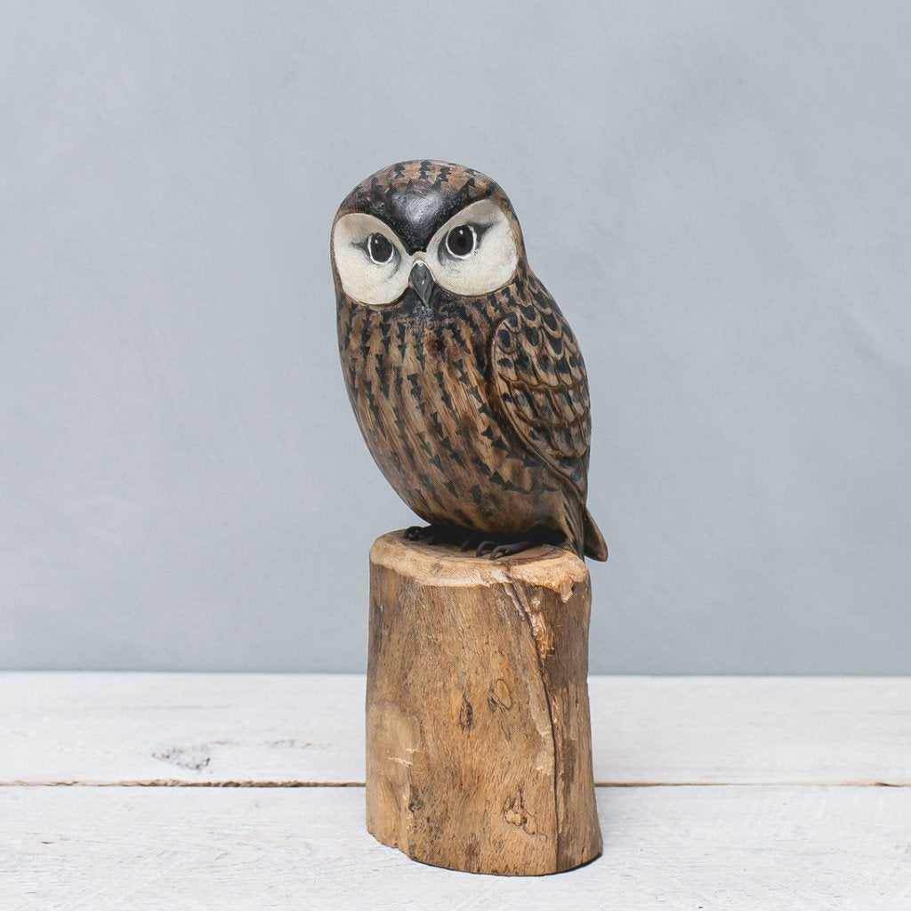 Owl - Saw Whet - 10"H - Hand Carved Decoy