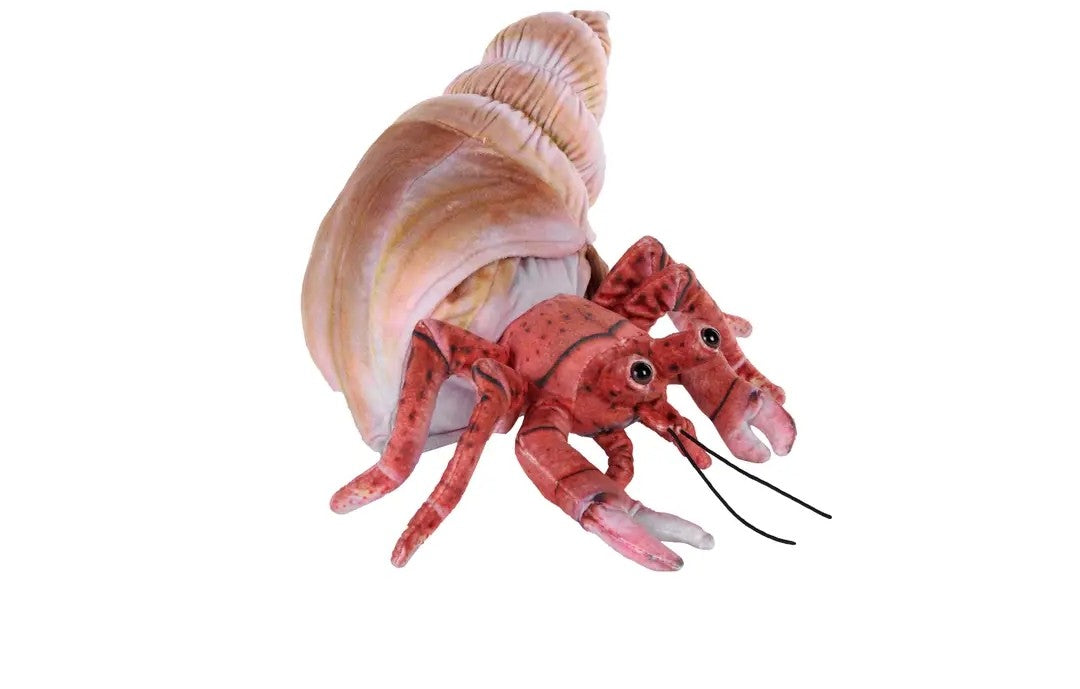 Living Hermit Crab Stuffed Animal 12"