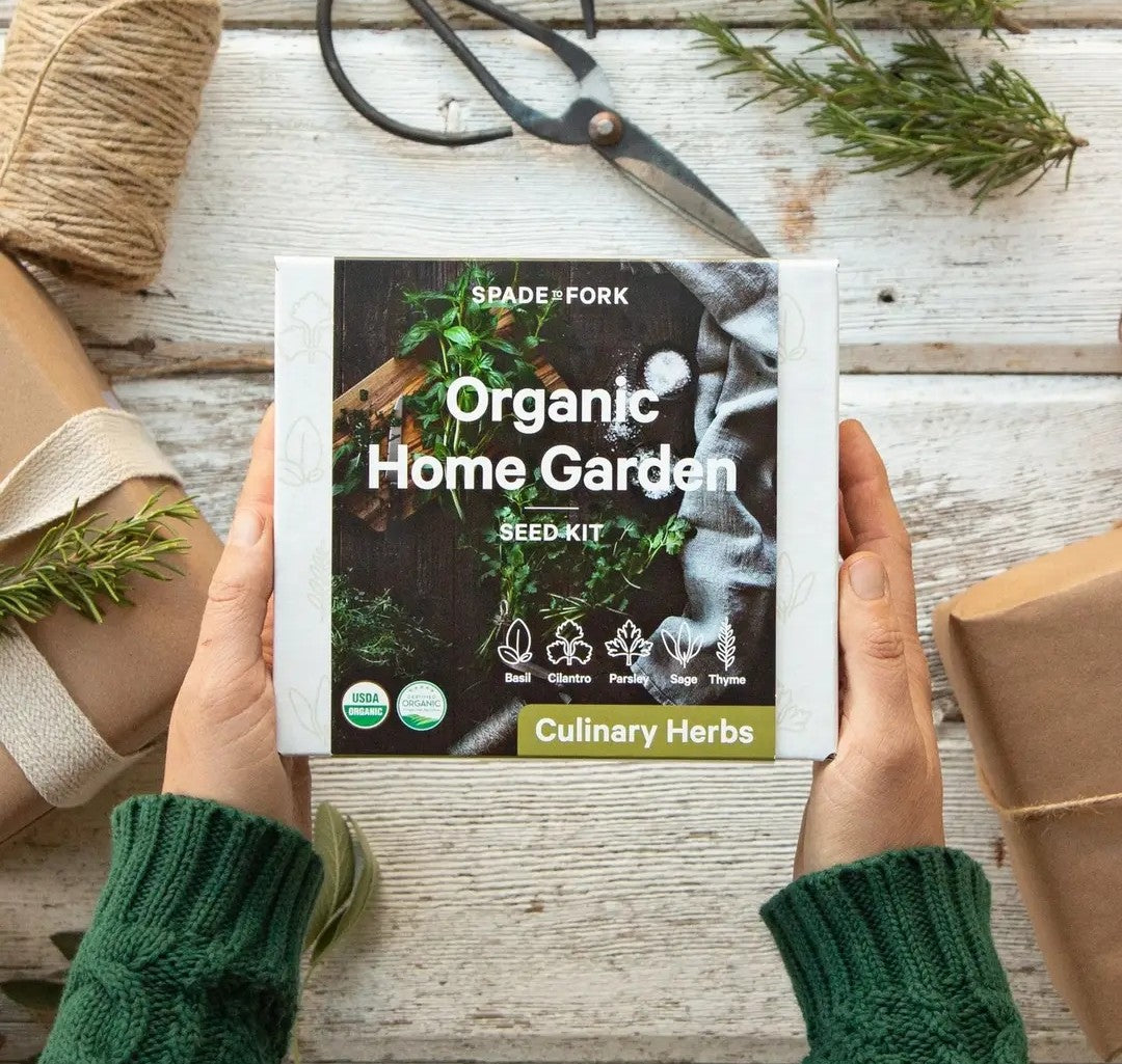 Organic Culinary Herbs Growing Kit