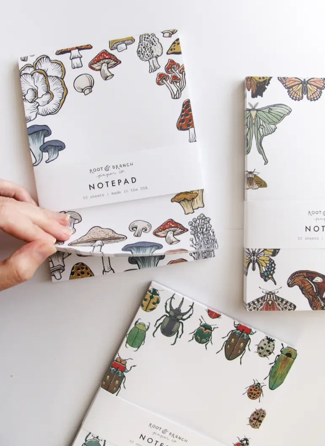 Butterfly + Moth Notepad