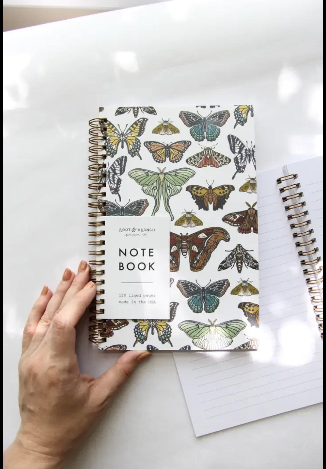 Butterfly + Moth Spiral Bound Notepad