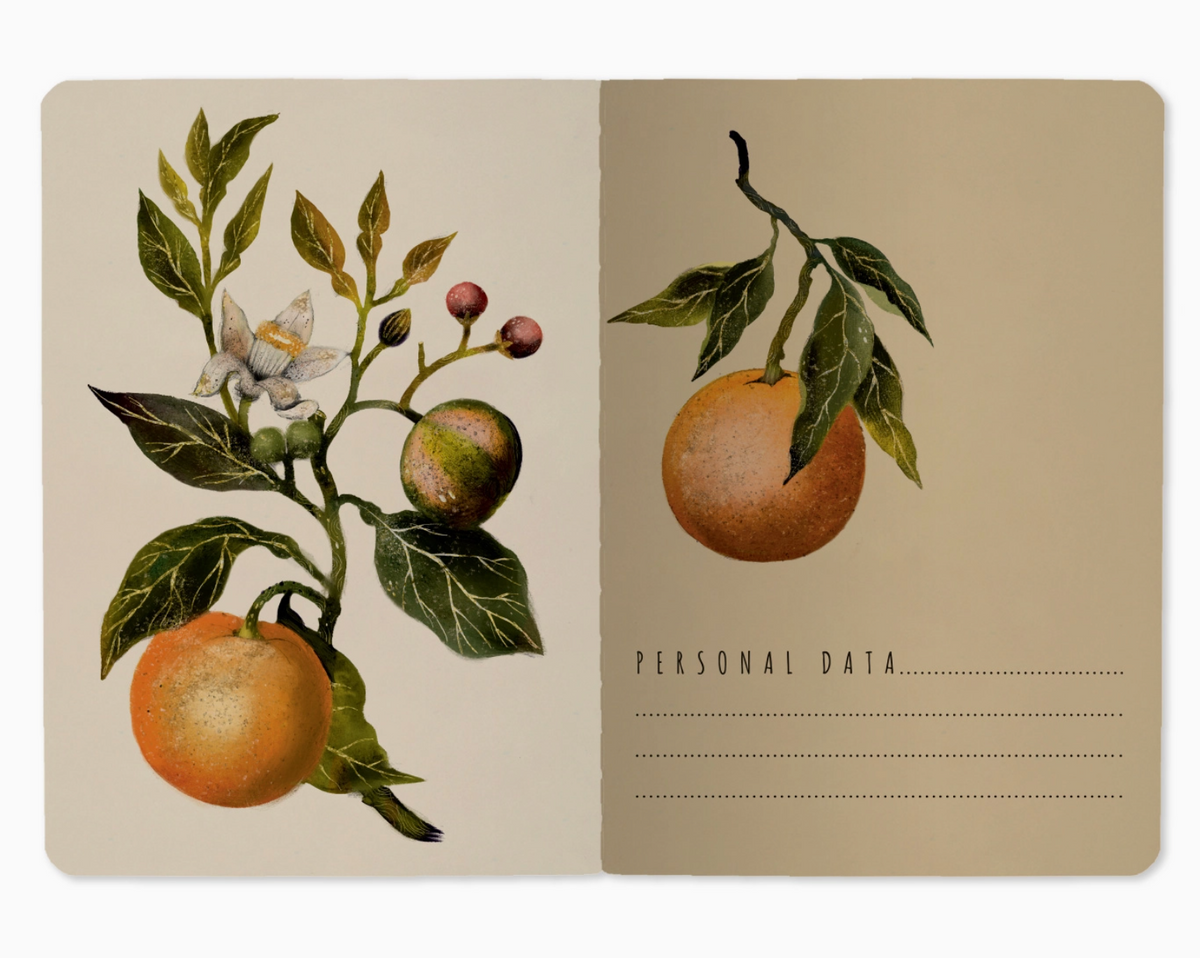 Oranges and Blossoms Small Notebook