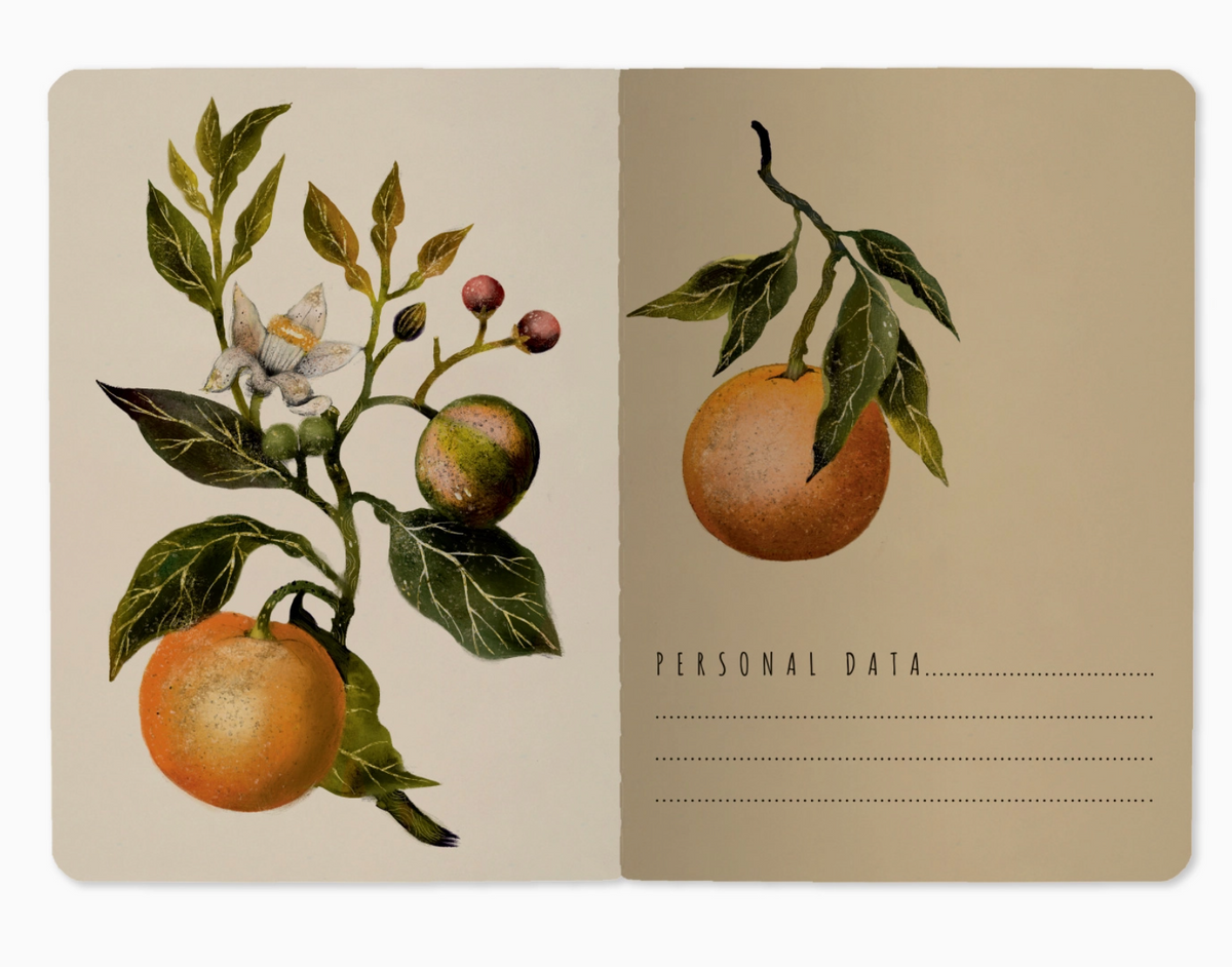 Oranges and Blossoms Small Notebook