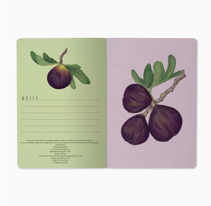 Figs Notebook