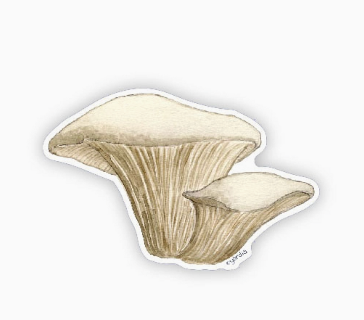 Oyster Mushrooms Stickers