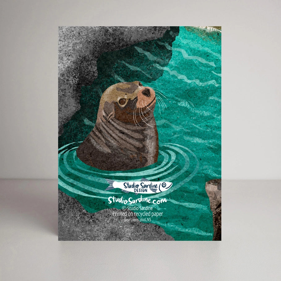 Sea Lions Blank Greeting Card by Studio Sardine