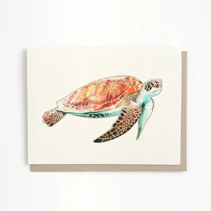 Sea Turtle Card