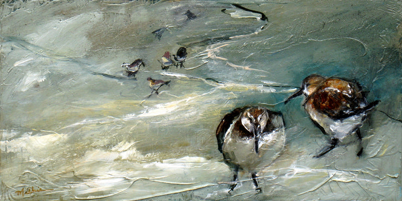 Shorebirds By Christopher Mathie