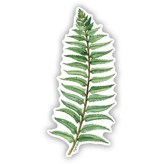 Sword Fern Sticker - Watercolor Cottagecore Fern Sticker